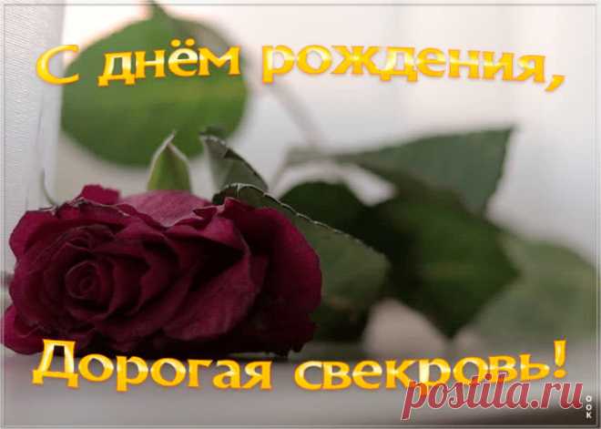 Картинка с днем рождения свекрови с анимацией - оригинальное поздравление онлайн. Красочная открытка с днем рождения свекрови обязательно поднимет настроение именинницы.