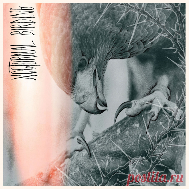 Author And Punisher - Nocturnal Birding (2025) 320kbps / FLAC