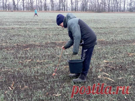 Зачем сельчане зимой по полю ходят? Борются с грызунами. Поработала рассказываю.
  Проезжая зимой на машине по трассе » М-4″ можно увидеть людей с ведрами которые прогуливаются по полю. Возникает вопрос -» Что они там делают в холодное время года»? Все просто, производят обработку аграрных земель от вредоносных грызунов с помощью химических антикоагулянтов. Простым языком разбрасывание приманки с...
Читай дальше на сайте. Жми подробнее ➡