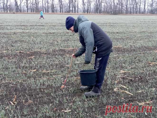 Зачем сельчане зимой по полю ходят? Борются с грызунами. Поработала рассказываю.
  Проезжая зимой на машине по трассе » М-4″ можно увидеть людей с ведрами которые прогуливаются по полю. Возникает вопрос -» Что они там делают в холодное время года»? Все просто, производят обработку аграрных земель от вредоносных грызунов с помощью химических антикоагулянтов. Простым языком разбрасывание приманки с...
Читай дальше на сайте. Жми подробнее ➡