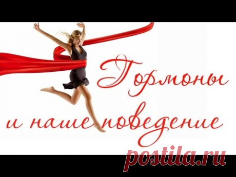 Скачать клип Гормоны и наше поведение | Скачать клипы бесплатно