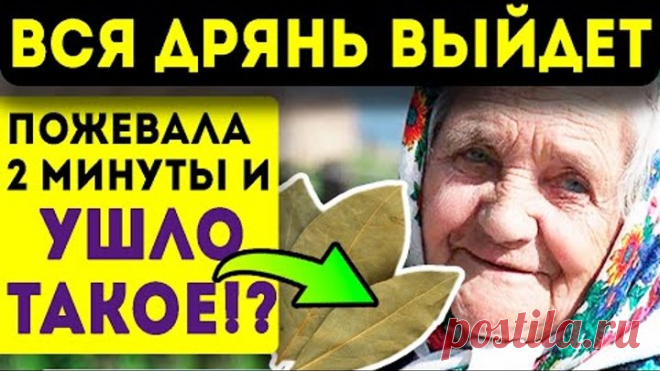 Что будет, если пожевать 1 лаврушку? Необратимые изменения в организме! Очищение организма!