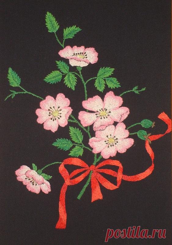 Яндекс.Фотки