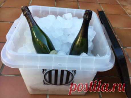 Celebrating 🎶🎶