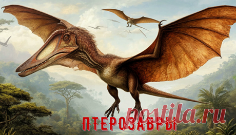 ПТЕРОЗАВРЫ