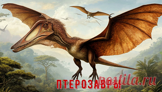 ПТЕРОЗАВРЫ
