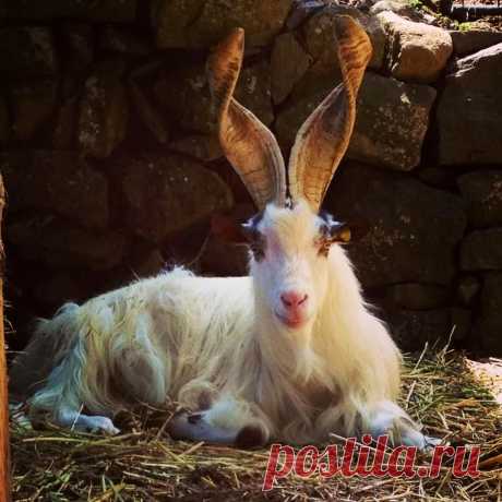 страницы которые создавались константина валерьевича сосницкого краснодар: 10 тыс изображений найдено в Яндекс.Картинках