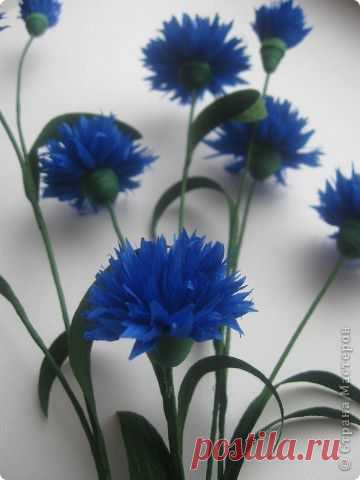 Васильки МК | Страна Мастеров