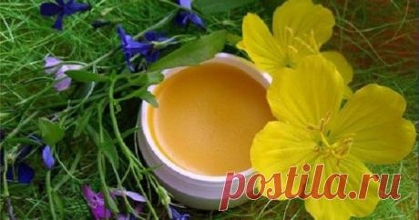 Ищешь универсальную мазь от множества болезней? Оказывается, она существует! Панацея, доступная каждому.