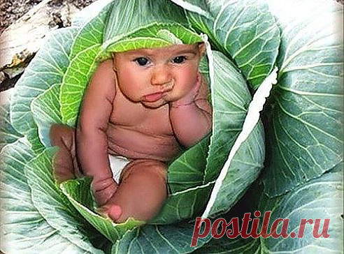 Ваше здоровье и счастье вашей семьи Вам не безразличны! Ведь каждый из нас хочет быть здоровым, жить долго и счастливо. Каждому необходимы уважение и любовь. И, наконец, каждый из нас знает: самое главное — передать своим детям эстафету счастливой и осмысленной жизни.