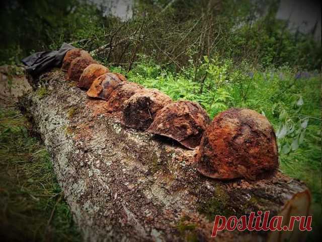 ДРУЗЬЯ, большая просьба по возможности сделать РЕПОСТ. 
Ниже список из 26 павших воинов, чьи семьи до сих пор не знают об их судьбе. Это красноармейцы из Башкирии, Саратовской, Тульской, Воронежской областей, Азербайджана, Грузии, Казахстана, Украины, Узбекистана.
21 сентября 2017 года, в Демидовском районе Смоленской области состоялась церемония перезахоронения останков бойцов и командиров Красной Армии, обнаруженных поисковиками на территории района в полевом сезоне 2016...