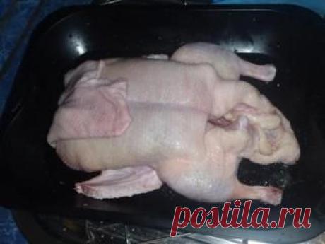 Любимые рецепты