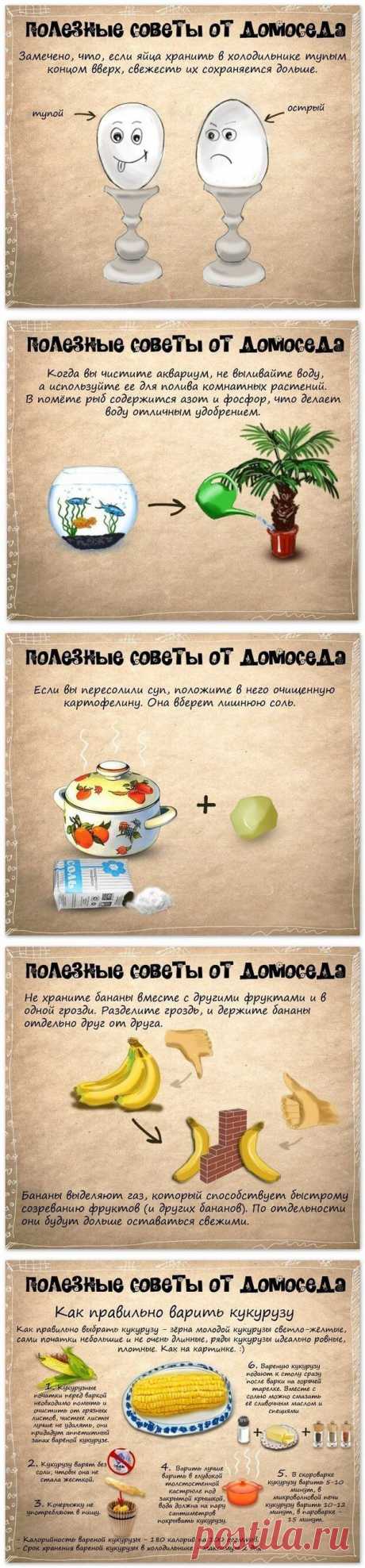 10 Полезных советов домохозяйке