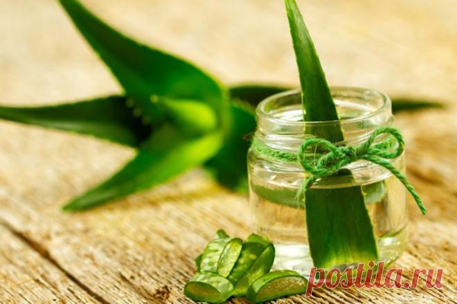 Средства для лечения геморроя в домашний условиях.