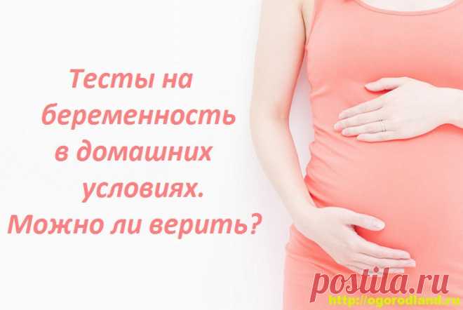 Тесты на беременность в домашних условиях. Можно ли верить?