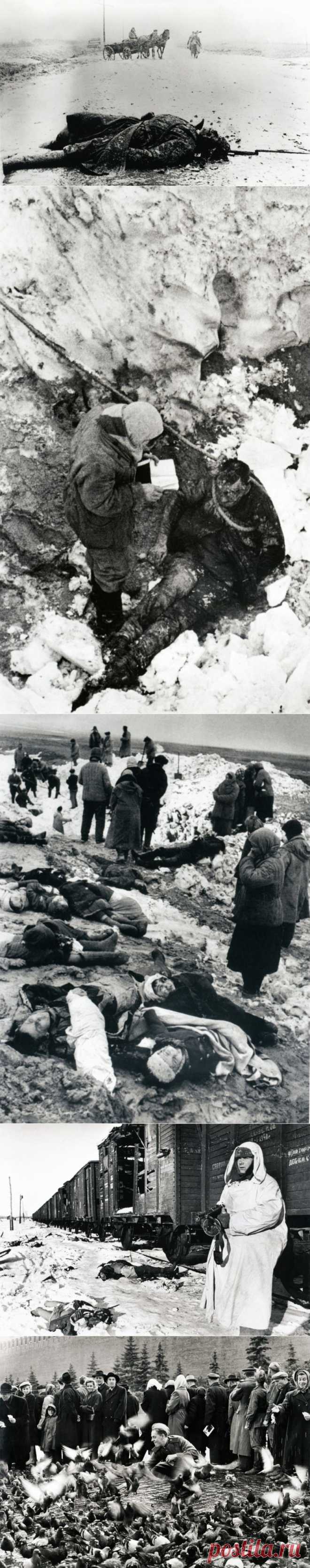 Фотографии сделанные Дмитрием Бальтерманцем