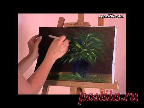 Подарок от Екатерины Дзюба