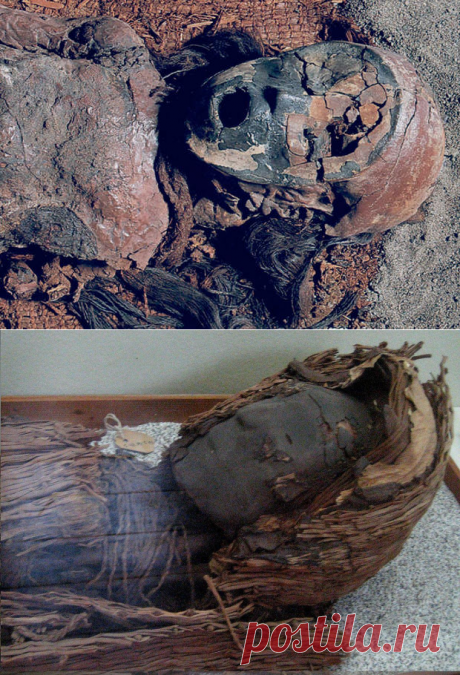 Фальшивая мумия чинчорро: обман за 2000 лет до древнеегипетских | Рекомендательная система Пульс Mail.ru