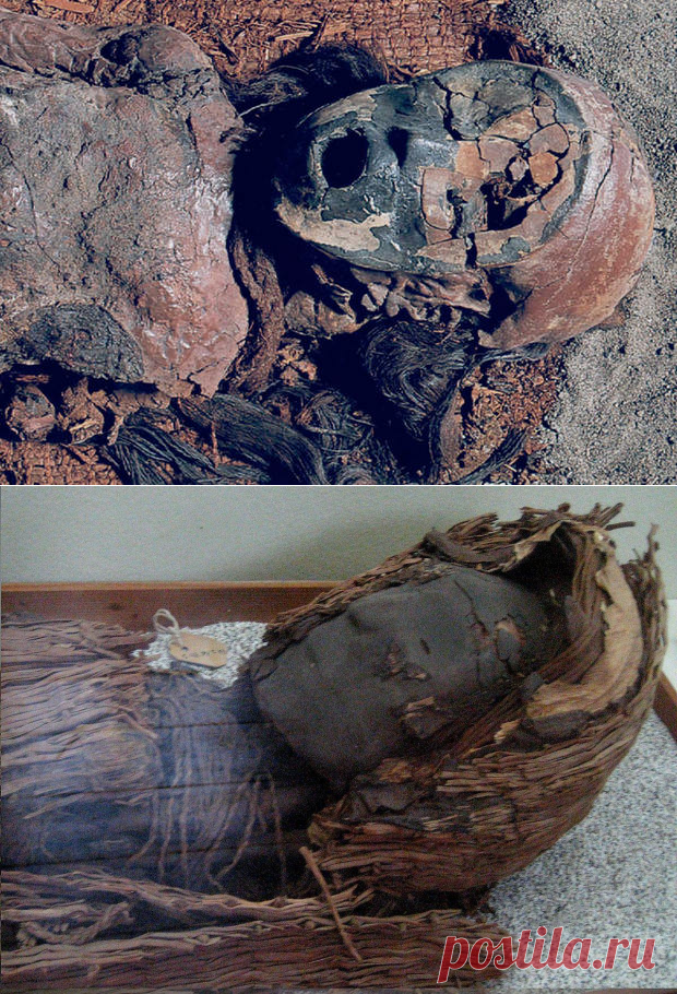 Фальшивая мумия чинчорро: обман за 2000 лет до древнеегипетских | Рекомендательная система Пульс Mail.ru