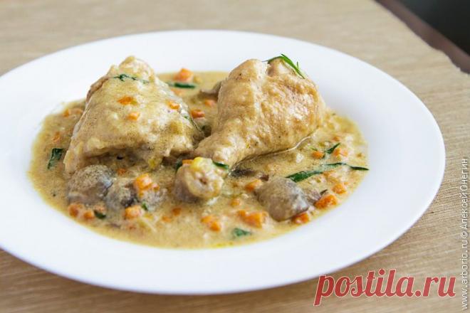 Рецепт фрикасе из курицы Настоящее фрикасе из курицы - это нежное мясо в деликатном белом соусе, где на первый план выходит игра вкусовых полутонов, а также качество исходных продуктов.