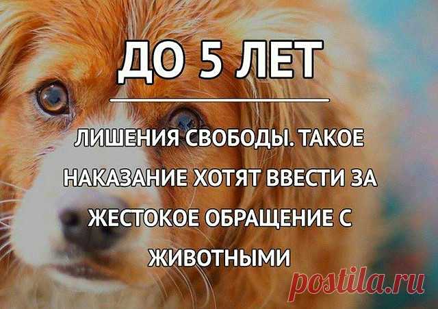 ДАВНО ПОРА!!!