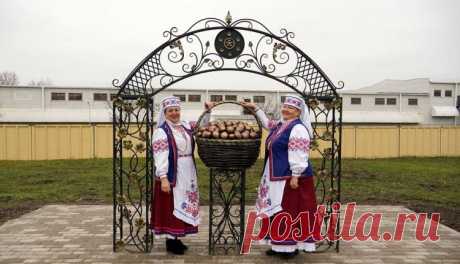 Памятник картошке открыли в Беларуси - ФОКУС ВНИМАНИЯ