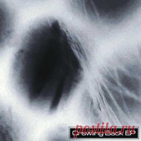 Silent Impulse - Crawling Back - EP (2025) 320kbps / FLAC