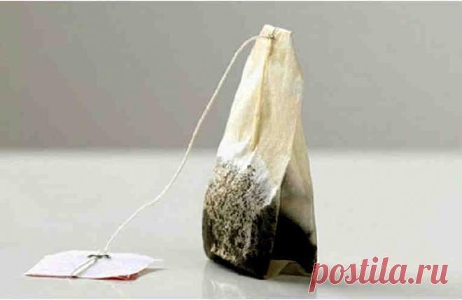 Почему не нужно выбрасывать чайные пакетики