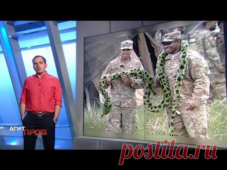 Константин Сёмин. Агитпроп от 11 июня 2016 года
