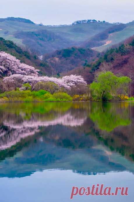 enantiodromija: Spring shadow by 바 람 - crescentmoon