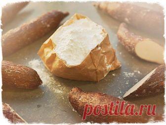 Тапиока или тапиоковый крахмал - что это такое и как ее едят?