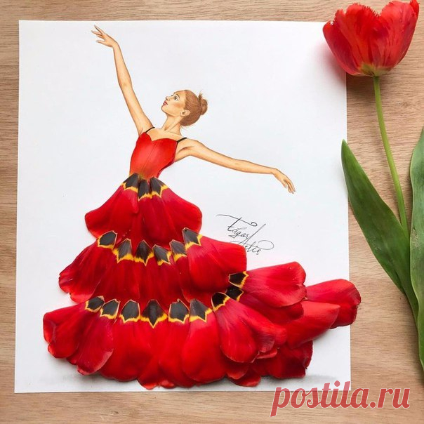 Мисс элегантность