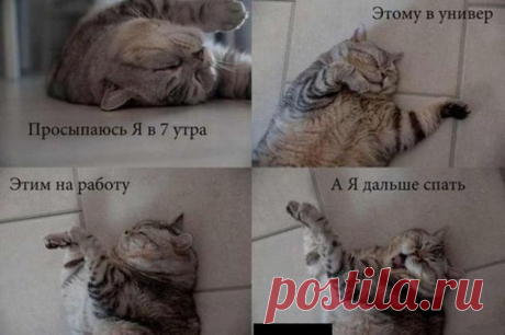 соня