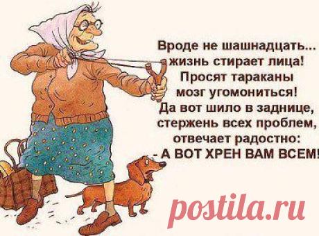 (4) Одноклассники