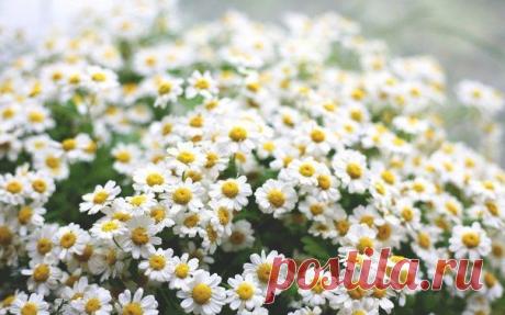 Пронзительные рассказы из ШЕСТИ слов!
• Незнакомцы. Друзья. Лучшие друзья. Любовники. Незнакомцы.
• «Вы ошиблись номером», - ответил знакомый голос.
• Пассажиры, сейчас с вами говорит не капитан.
• Я встретил родственную душу. А она - нет.
• Продаю парашют: никогда не открывался, слегка запятнан.
• Это наша золотая свадьба. Столик на одного.
• Я принес домой розы. Ключи не подошли.
• Моя мама научила меня бриться.