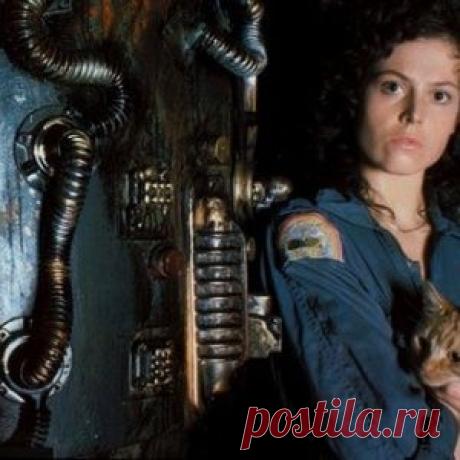 Научись дарить Любовь!