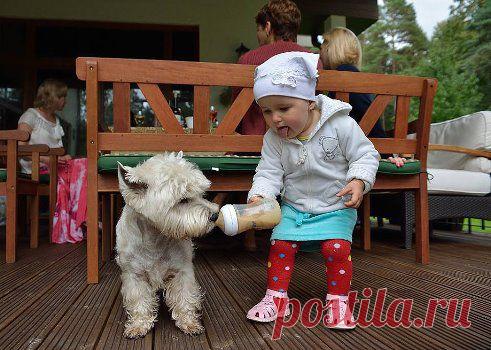 Одноклассники