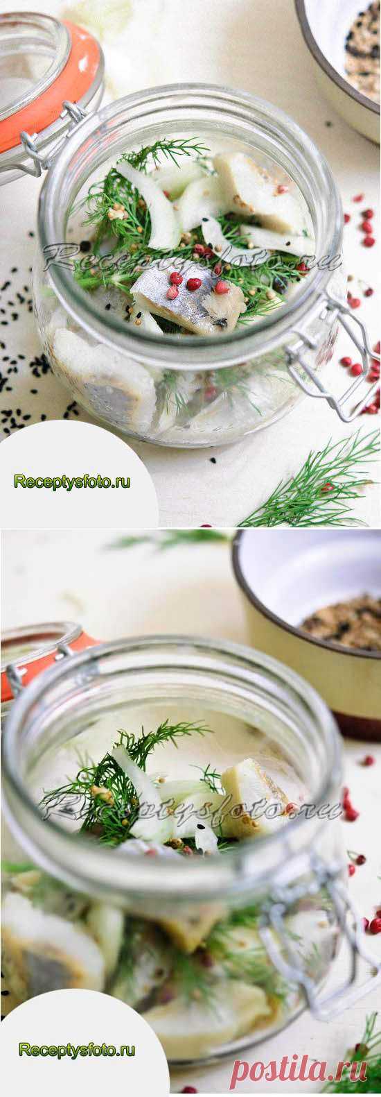Сельдь, маринованная по-скандинавски – готовим дома - Рецепты с фото