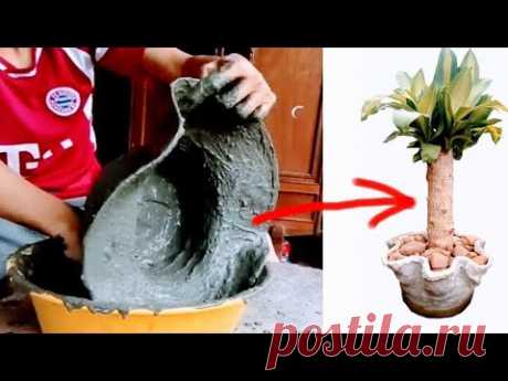 Làm chậu cảnh từ cái mũ bỏ đi