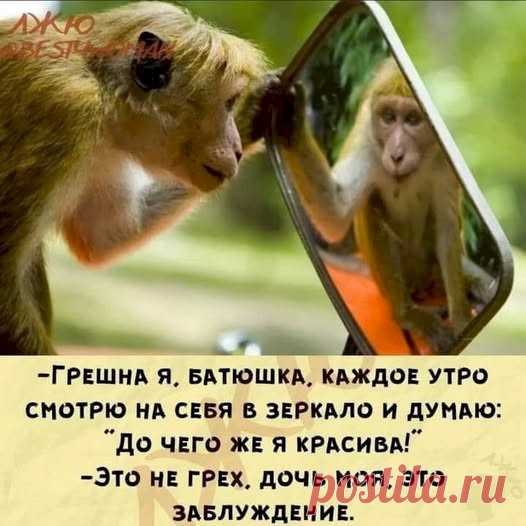 Выпуск №6624 - выпуск анекдотов сайта вокруг смеха