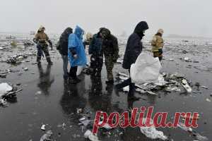 ТСН Онлайн - ТСН Онлайн - ТСН.ua