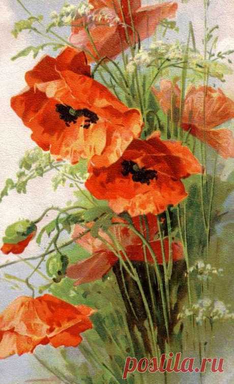 (723) Poppies - Cross stitch pattern pdf format