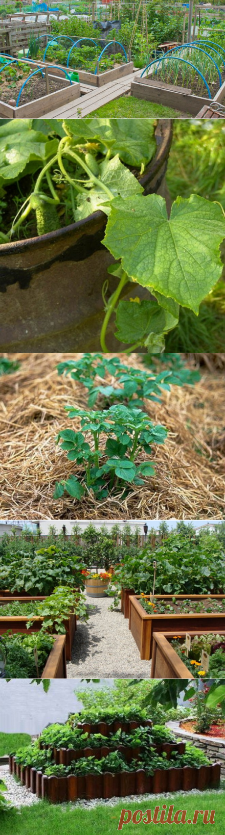 5 способов создания грядок на дачном участке | На грядке (Огород.ru)