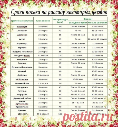 (99) Одноклассники