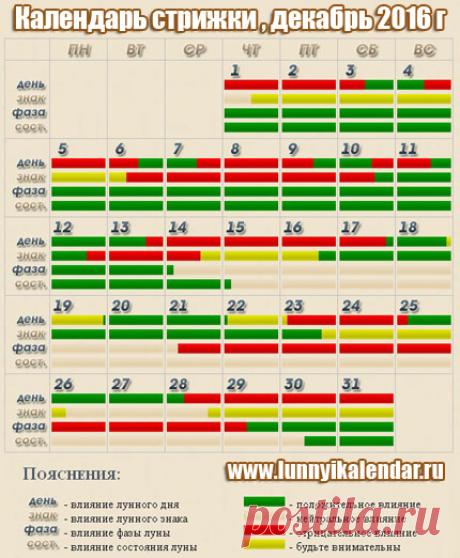 Календарь стрижки на декабрь 2016 г