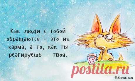 (+1) тема - Одной фразой. Часть 2 | Полезные советы