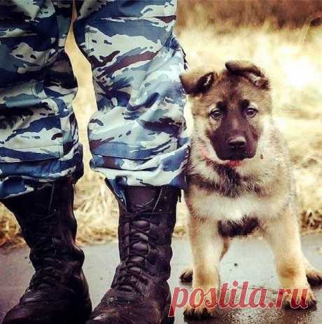 Алексей Сотник в Твиттере: «Рай и Ад. https://t.co/CBP8em5ZxY»