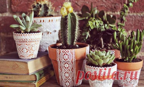 Весенний DIY: 28 идей как украсить глиняное кашпо Ура, весна! Комнатным растениям наконец-то будет хватать солнышка, чтобы идти в рост, зеленеть и радовать вас. Но у красивых цветов и горшок должен быть под стать. Мы советуем вам не тратиться на поку...