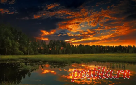i (548×343)