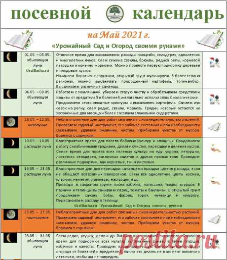 Посевной календарь на май 2021 года. Благоприятные дни для посадок и работы с растениями | УРОЖАЙНЫЙ САД И ОГОРОД СВОИМИ РУКАМИ | Яндекс Дзен